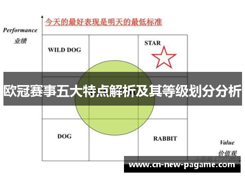 欧冠赛事五大特点解析及其等级划分分析