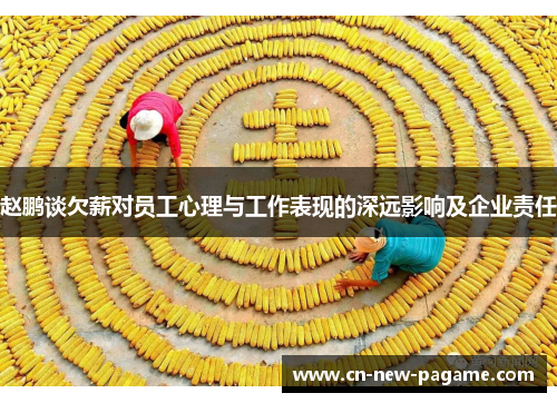 赵鹏谈欠薪对员工心理与工作表现的深远影响及企业责任