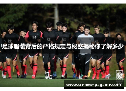 足球服装背后的严格规定与秘密揭秘你了解多少